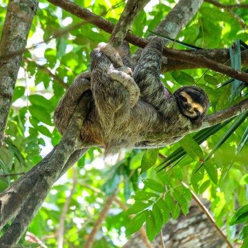 listing-details-carousel